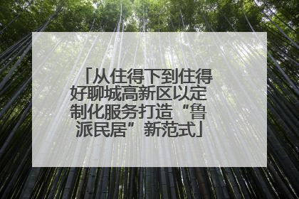 从住得下到住得好聊城高新区以定制化服务打造“鲁派民居”新范式