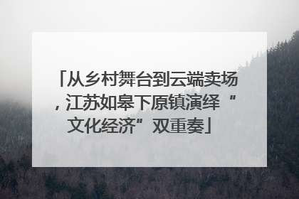 从乡村舞台到云端卖场，江苏如皋下原镇演绎“文化经济”双重奏