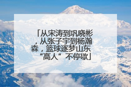 从宋涛到巩晓彬，从张子宇到杨瀚森，篮球逐梦山东“高人”不停歇