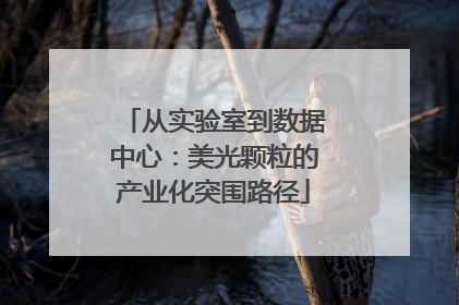 从实验室到数据中心：美光颗粒的产业化突围路径