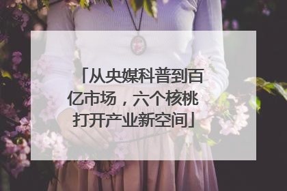 从央媒科普到百亿市场，六个核桃打开产业新空间