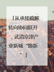 从承接疏解转向协同跃升，武清京津产业新城“焕新”