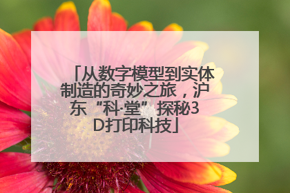 从数字模型到实体制造的奇妙之旅，沪东“科·堂”探秘3D打印科技