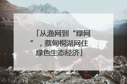 从渔网到“绿网”，蔡甸桐湖网住绿色生态经济