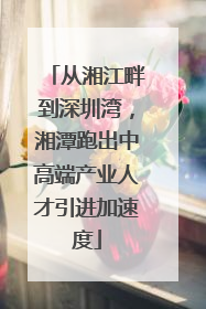 从湘江畔到深圳湾，湘潭跑出中高端产业人才引进加速度