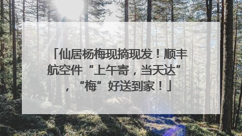 仙居杨梅现摘现发！顺丰航空件“上午寄，当天达”，“梅”好送到家！