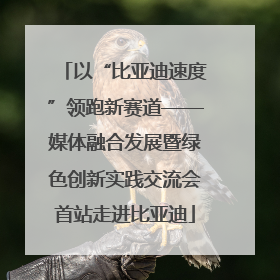 以“比亚迪速度”领跑新赛道——媒体融合发展暨绿色创新实践交流会首站走进比亚迪