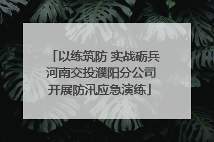 以练筑防 实战砺兵 河南交投濮阳分公司开展防汛应急演练