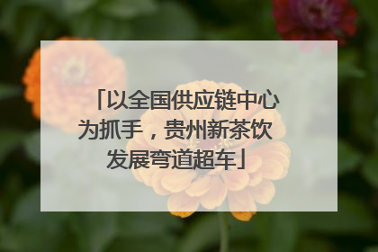 以全国供应链中心为抓手，贵州新茶饮发展弯道超车