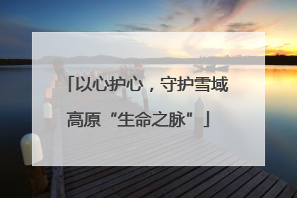以心护心，守护雪域高原“生命之脉”