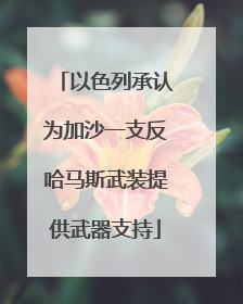 以色列承认为加沙一支反哈马斯武装提供武器支持