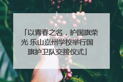 以青春之名，护国旗荣光 乐山嘉州学校举行国旗护卫队交接仪式