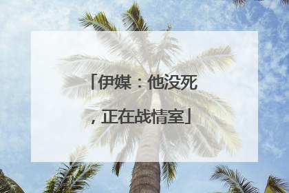 伊媒：他没死，正在战情室
