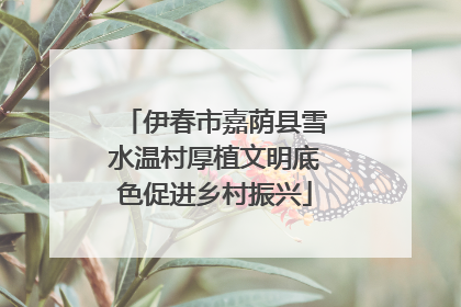 伊春市嘉荫县雪水温村厚植文明底色促进乡村振兴