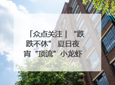 众点关注｜“跌跌不休” 夏日夜宵“顶流”小龙虾价格腰斩 东营人的快乐来了