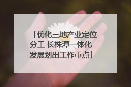 优化三地产业定位分工 长株潭一体化发展划出工作重点