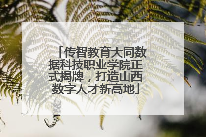 传智教育大同数据科技职业学院正式揭牌，打造山西数字人才新高地