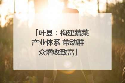 叶县：构建蔬菜产业体系 带动群众增收致富