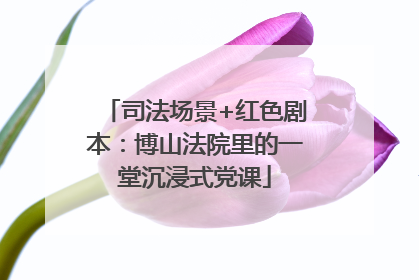 司法场景+红色剧本：博山法院里的一堂沉浸式党课