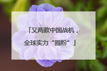 又两款中国战机，全球实力“圈粉”