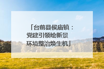 台前县侯庙镇：党建引领绘新景 环境整治焕生机