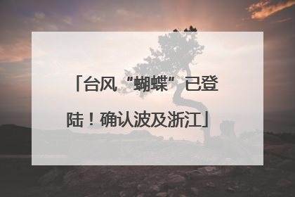 台风“蝴蝶”已登陆！确认波及浙江