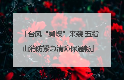 台风“蝴蝶”来袭 五指山消防紧急清障保通畅