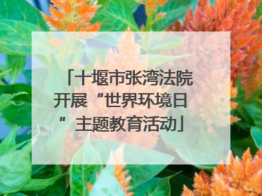 十堰市张湾法院开展“世界环境日”主题教育活动