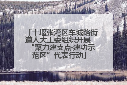 十堰张湾区车城路街道人大工委组织开展 “聚力建支点·建功示范区”代表行动