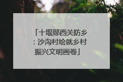 十堰郧西关防乡：沙沟村绘就乡村振兴文明画卷