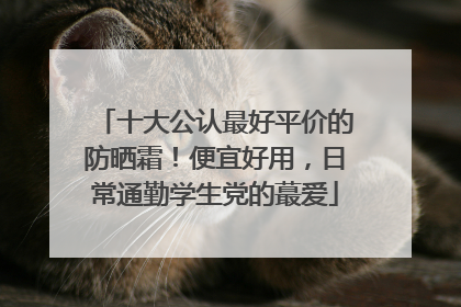 十大公认最好平价的防晒霜！便宜好用，日常通勤学生党的蕞爱