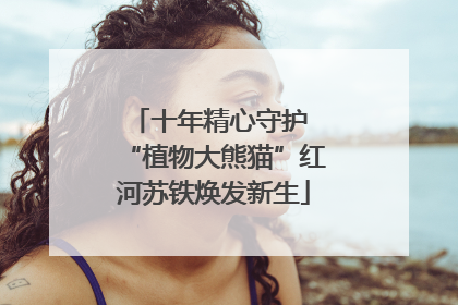 十年精心守护 “植物大熊猫”红河苏铁焕发新生