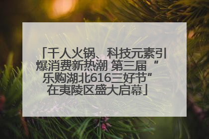 千人火锅、科技元素引爆消费新热潮 第三届“乐购湖北616三好节”在夷陵区盛大启幕