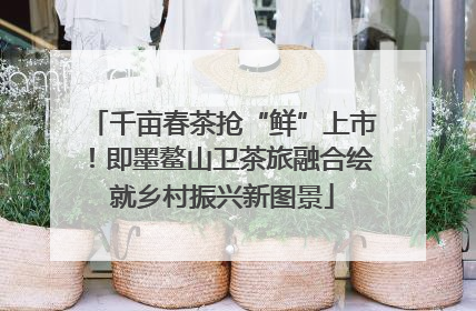 千亩春茶抢“鲜”上市！即墨鳌山卫茶旅融合绘就乡村振兴新图景