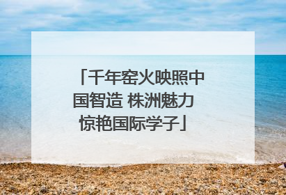 千年窑火映照中国智造 株洲魅力惊艳国际学子