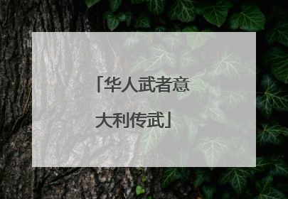华人武者意大利传武
