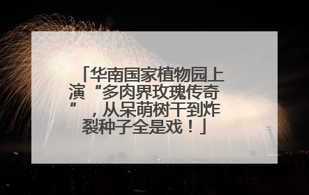 华南国家植物园上演“多肉界玫瑰传奇”，从呆萌树干到炸裂种子全是戏！
