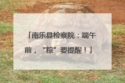 南乐县检察院：端午前，“粽”要提醒！