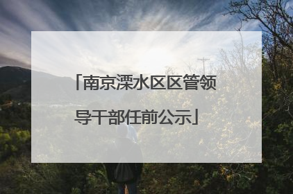 南京溧水区区管领导干部任前公示