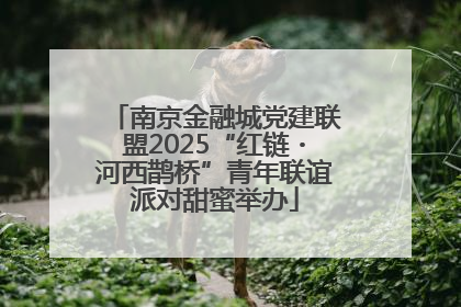 南京金融城党建联盟2025“红链・河西鹊桥”青年联谊派对甜蜜举办