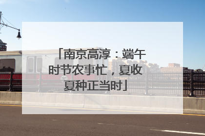 南京高淳：端午时节农事忙，夏收夏种正当时
