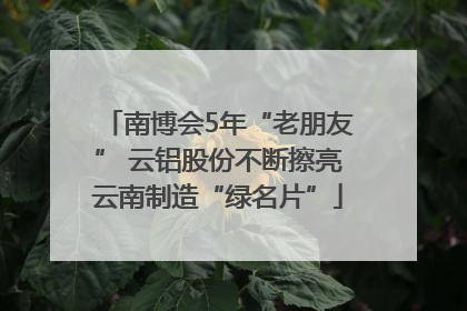 南博会5年“老朋友” 云铝股份不断擦亮云南制造“绿名片”