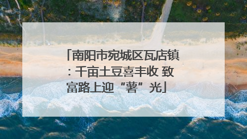 南阳市宛城区瓦店镇：千亩土豆喜丰收 致富路上迎“薯”光