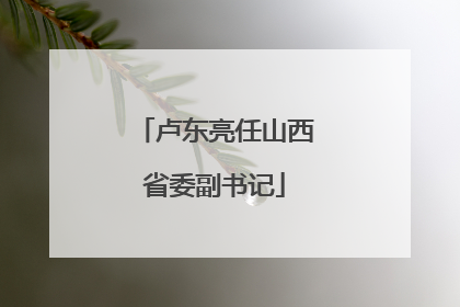 卢东亮任山西省委副书记