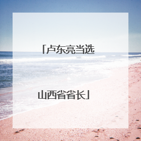 卢东亮当选山西省省长