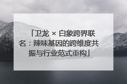 卫龙 × 白象跨界联名：辣味基因的跨维度共振与行业范式重构