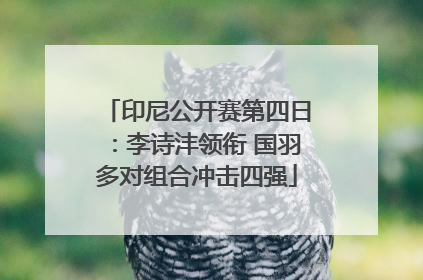 印尼公开赛第四日：李诗沣领衔 国羽多对组合冲击四强