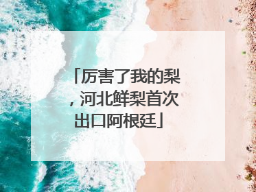 厉害了我的梨，河北鲜梨首次出口阿根廷