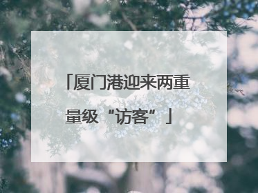 厦门港迎来两重量级“访客”
