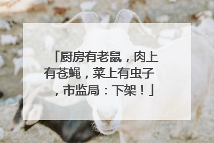 厨房有老鼠，肉上有苍蝇，菜上有虫子，市监局：下架！